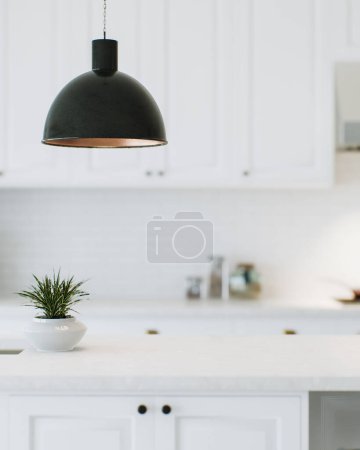 Téléchargez les photos : Comptoir de cuisine blanc moderne avec plantes d'intérieur et espace publicitaire monter votre produit sur un espace de cuisine floue en arrière-plan. rendu 3D. - en image libre de droit