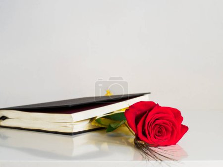 Old book with red rose, traditional gift on St. George's day . It is the Catalan version of Valentine's Day, which is celebrated on April 23. Copy space.