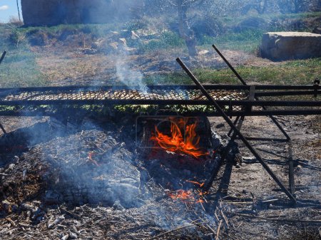Firewood burning to cook "Calsots", a young Catalan onion, in the countryside. "Calsotada", typical Catalan food.