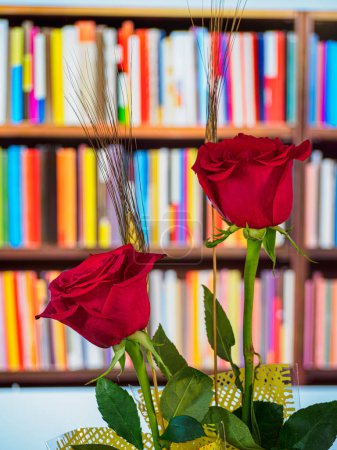 Foto de Rosas rojas con espigas de trigo con fondo de estantería. Día romántico de los amantes, tradición en Cataluña, España. - Imagen libre de derechos