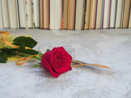 Red rose with spike and Catalan flag tradition of Book Day in Catalonia. Copy space.