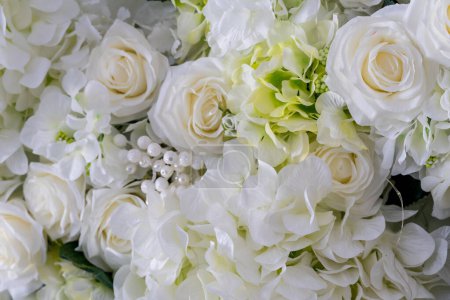 Téléchargez les photos : Fond doux de roses blanches. - en image libre de droit