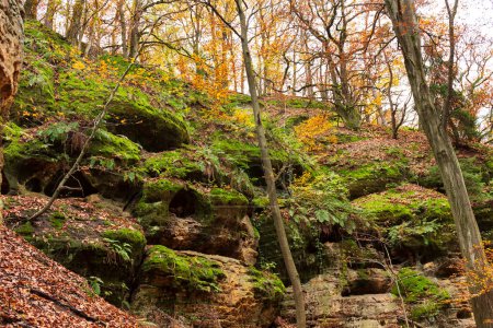 Foto de Colorido paisaje otoñal en la región de Bohemia Central de la República Checa, Kokorin - Imagen libre de derechos
