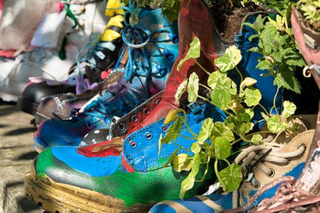 Téléchargez les photos : Bottes de marche en plein air recyclées transformées en pots de fleurs vibrants, ajoutant une touche unique aux jardins RHS à Harrogate, Angleterre, Royaume-Uni. - en image libre de droit