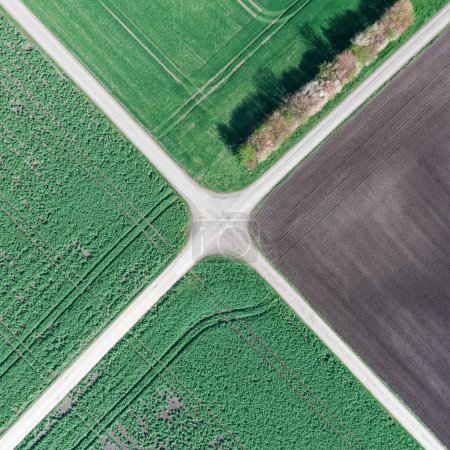 Foto de Top view of the cultivated fields. Field road crossroads. - Imagen libre de derechos