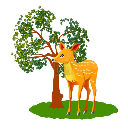 Ilustración de Hermoso cervatillo cerca de un árbol joven y verde. Ilustración vectorial aislada sobre fondo blanco. - Imagen libre de derechos