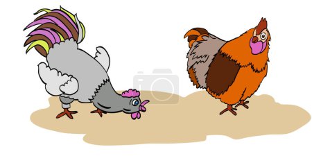 Illustration for Quiet hen and angry rooster. Hand drawn vector style isolated on white background. - Royalty Free Image