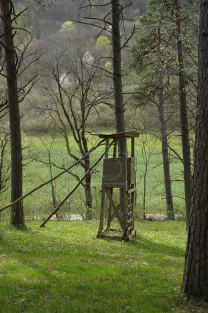 A hunting blind in spring in the forest in Switzerland. Rapeseed field in the background. Vertical view.
