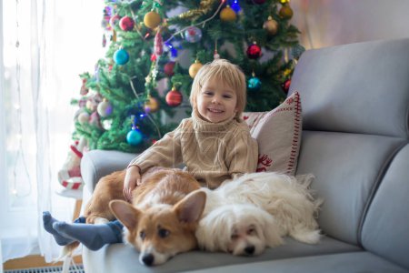 Photo for Cute toddler child. boy, hugginh baby puppy corgi dog at home on Christmas in front of christmas tree - Royalty Free Image
