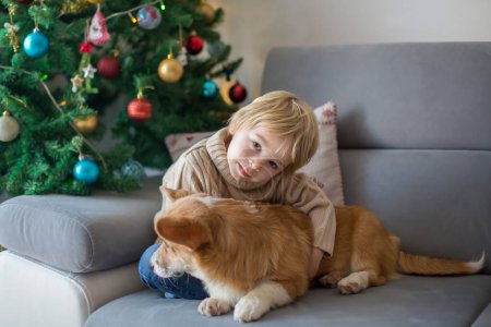Photo for Cute toddler child. boy, hugginh baby puppy corgi dog at home on Christmas in front of christmas tree - Royalty Free Image