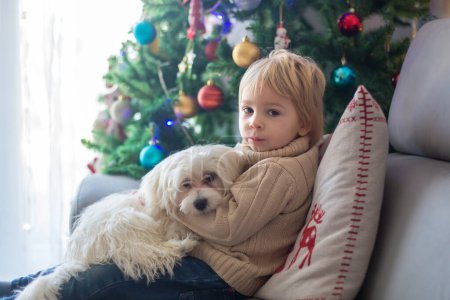 Téléchargez les photos : Mignon enfant en bas âge. garçon, câlin bébé chiot maltais chien à la maison à Noël devant l'arbre de Noël - en image libre de droit