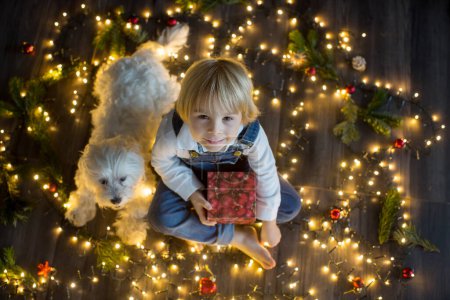 Téléchargez les photos : Toddler child, cute blond boy, sitting on the floor with pet dog, christmas lights around him - en image libre de droit