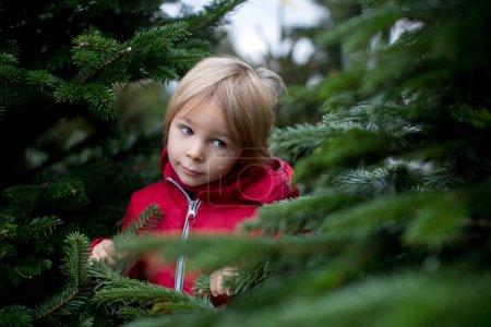 Téléchargez les photos : Enfant blond en veste rouge, achetant un sapin de Noël à l'extérieur - en image libre de droit