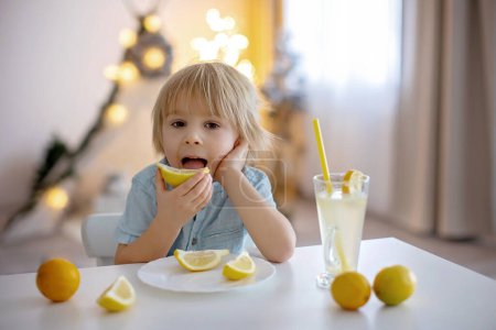Photo for Cute toddler child, blond boy, licking lemons at home and drinking lemonade, making funny faces - Royalty Free Image