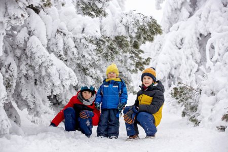 Téléchargez les photos : Doux enfants heureux, frères, jouant dans la neige profonde dans la forêt, arbres givrés et beau paysage - en image libre de droit