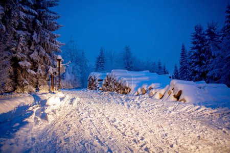 Foto de Invierno nevado paisaje nocturno de bosque maravilloso cerca de la carretera - Imagen libre de derechos