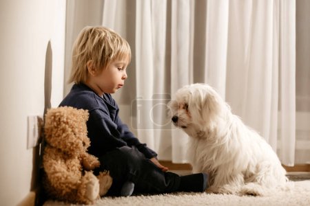 Foto de Pequeño niño enojado, niño rubio, sentado en la esquina con el oso de peluche y su amigo perro, castigado por travesuras - Imagen libre de derechos
