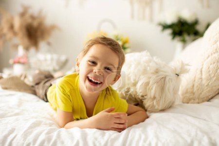 Téléchargez les photos : Mignon petit garçon d'âge préscolaire avec son chien de compagnie, jouer ensemble dans le lit à la maison - en image libre de droit