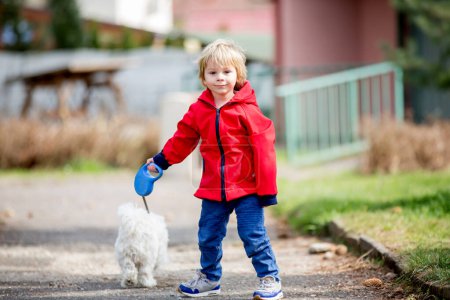 Foto de Lindo niño pequeño con chaqueta roja, paseando a su pequeño amigo perro mascota en el parque - Imagen libre de derechos