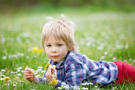 Téléchargez les photos : Belle enfant blond tout-petit, mignon garçon, couché dans l'herbe dans la marguerite et les pissenlits fleur déposée - en image libre de droit