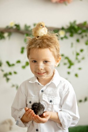 Photo for Cute child at home with little newborn chicks, enjoying, cute kid and animal friend in a sunny room - Royalty Free Image