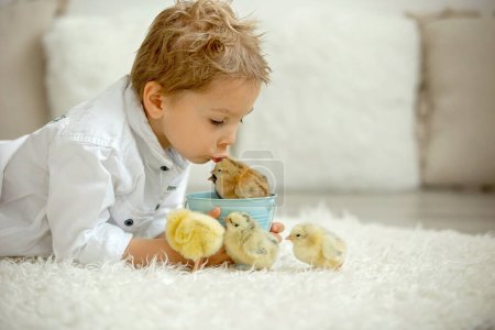 Téléchargez les photos : Enfant mignon à la maison avec des petits poussins nouveau-nés, appréciant, enfant mignon et ami animal dans une chambre ensoleillée - en image libre de droit
