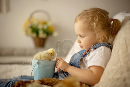 Téléchargez les photos : Cute child at home with little newborn chicks, enjoying, cute kid and animal friend in a sunny room - en image libre de droit