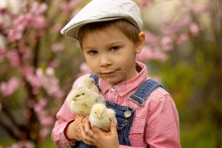 Photo for Cute sweet little blond child, toddler boy, playing with little chicks in the park, baby chicks and kid  playing - Royalty Free Image
