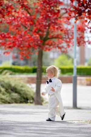 Téléchargez les photos : Beau tout-petit garçon en smoking, jouant dans un parc un jour de mariage ensoleillé - en image libre de droit