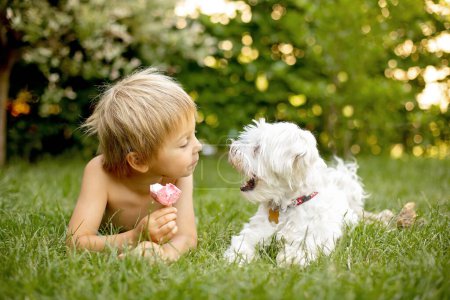 Téléchargez les photos : Cute child, boy and his maltese dog, eating doughnut ice cream in the backyard of his home garden - en image libre de droit