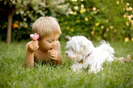 Téléchargez les photos : Cute child, boy and his maltese dog, eating doughnut ice cream in the backyard of his home garden - en image libre de droit