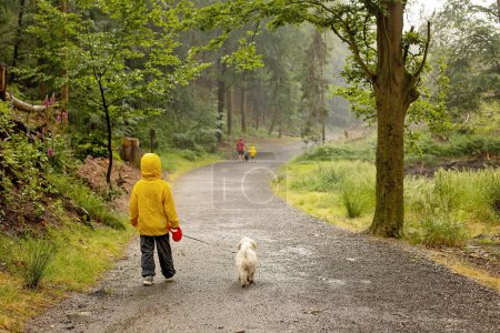 Téléchargez les photos : Father and three children with pet maltese dog, walking in a forest in a heavy rain day summertime - en image libre de droit