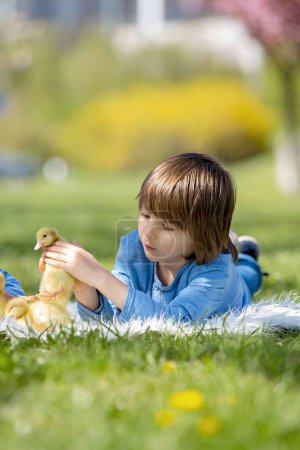 Photo for Cute little child, boy with duckling springtime, playing together, little friend, childhood happiness - Royalty Free Image