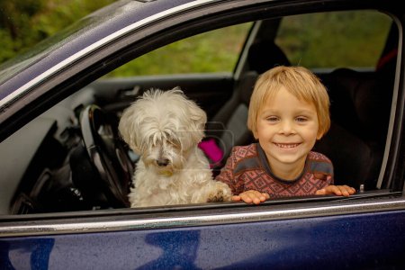 Téléchargez les photos : Child, toddler boy with maltese dog, staying in the car behind the windon on a cold rainy day - en image libre de droit