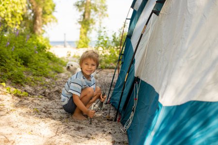 Photo for Happy family, three kids, boy brothers and a dog,playing around pitched tent on the beach, while wild camping in Norway, summertime - Royalty Free Image