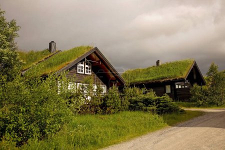 Téléchargez les photos : Village with typical houses for Southwest Norway on the shore of Lysebotn fjord, near Kjerag - en image libre de droit