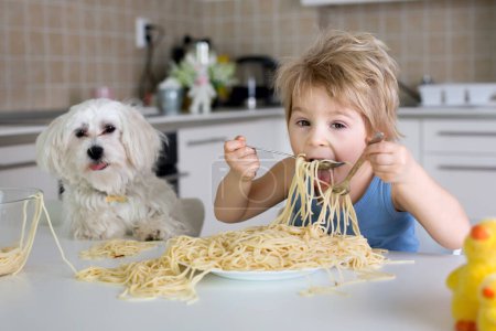 Téléchargez les photos : Petit garçon blond, tout-petit enfant, manger des spaghettis pour le déjeuner et faire un gâchis à la maison dans la cuisine, petit chien maltais chiot assis à côté de lui et le regarder - en image libre de droit