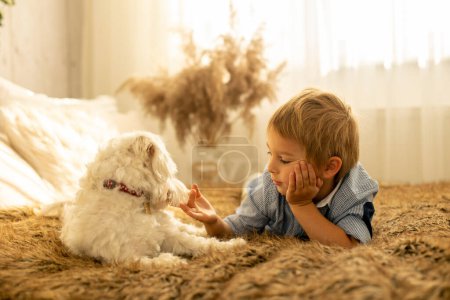 Foto de Lindo niño con su perro en la cama, jugando el día de verano - Imagen libre de derechos