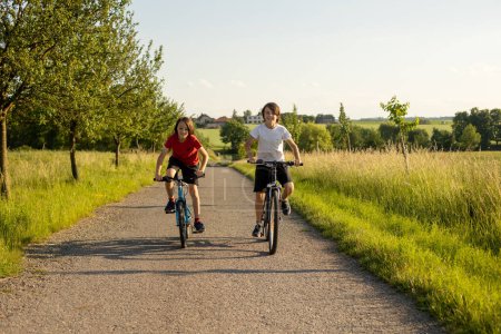 Foto de Lindos niños felices, hermanos, montar en bicicleta en el parque en un día soleado de verano, hablando y riendo - Imagen libre de derechos