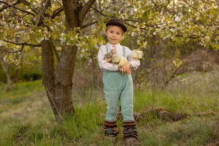 Photo for Beautiful toddler boy, child in vintage clothing, playing with little chicks in the park under blooming tree in garden, outdoors on sunset - Royalty Free Image