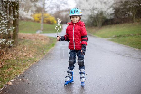 Téléchargez les photos : Petit enfant, garçon d'âge préscolaire en équipement de protection et patins à roues alignées, promenade dans le parc - en image libre de droit