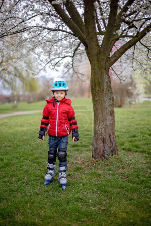 Photo for Little child, preschool boy in protective equipment and rollers blades, riding on walkway in park - Royalty Free Image