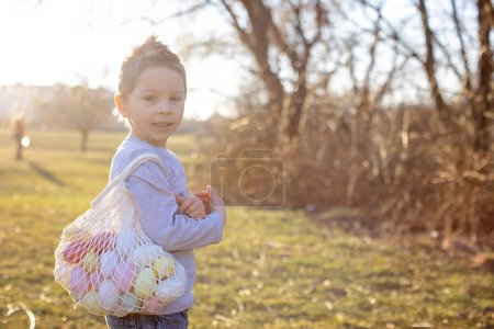 Téléchargez les photos : Petit garçon mignon, ramassant des œufs colorés de Pâques dans un panier dans le parc, printemps - en image libre de droit