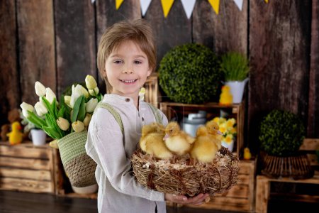 Photo for Beautiful preschool child, boy, playing with ducklings at home, studio shot - Royalty Free Image