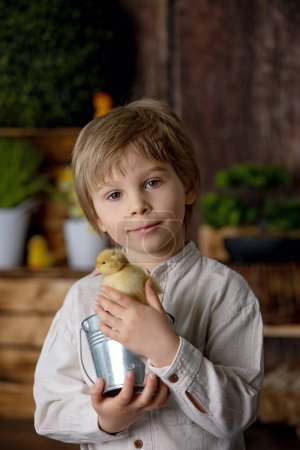 Photo for Beautiful preschool child, boy, playing with ducklings at home, studio shot - Royalty Free Image
