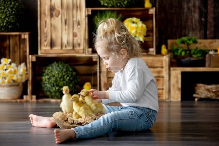 Photo for Happy beautiful childre, kids, playing with small beautiful ducklings, cute fluffy animal birds - Royalty Free Image