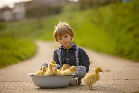 Foto de Hermoso niño preescolar, jugando con pequeños patos en la calle en el pequeño pueblo, escena de primavera rural - Imagen libre de derechos