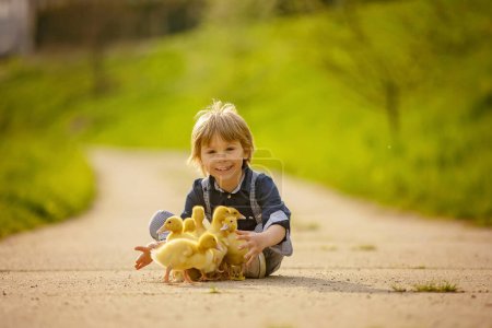 Photo for Beautiful preschool boy, playing with little ducks on the street in little village, rural spring scene - Royalty Free Image