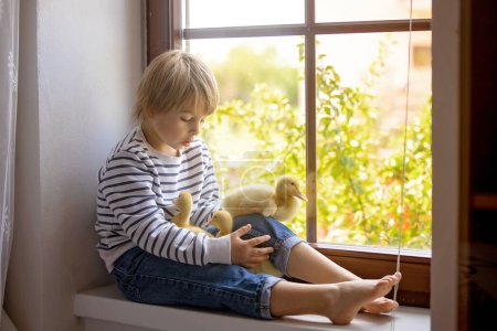 Foto de Hermoso niño preescolar, jugando con pequeños patos en la ventana en casa, primavera - Imagen libre de derechos