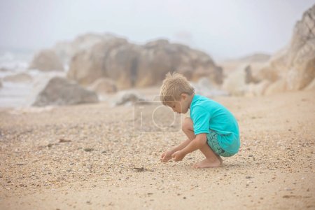 Foto de Hermoso niño rubio, muchacho, la recolección de conchas en la playa de Portugal en un día nublado niebla, verano - Imagen libre de derechos
